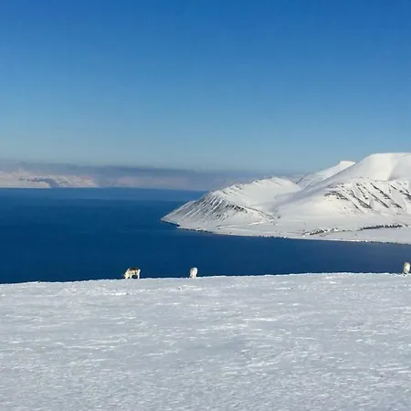 In * Longyearbyen
